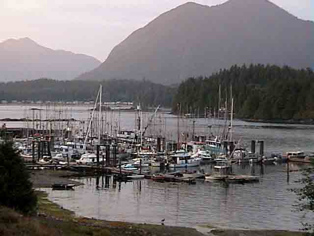 26 - Canada - isla de Vancouver, Tofino